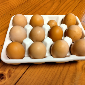 1 Dozen Eggs